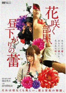 电影原盘检索条目示意